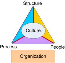 Organization Triangle