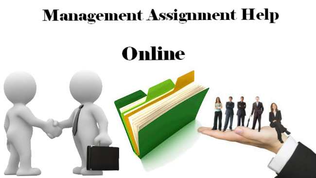 Online-Management-Assignment-Help