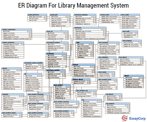 ER Of Library-EssayCorp