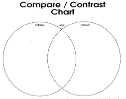 Contrast And Compare- EssayCorp