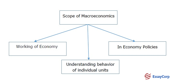 Nature And Scope Of Economics