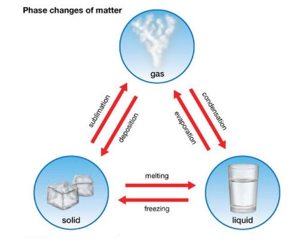 Phase Changes Of Matter- EssayCorp
