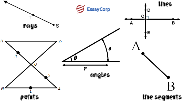 Geometry Important Concepts- By EssayCorp