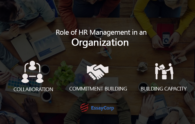 Role Of HR Management- By EssayCorp