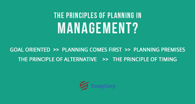 Planning Principles- By EssayCorp