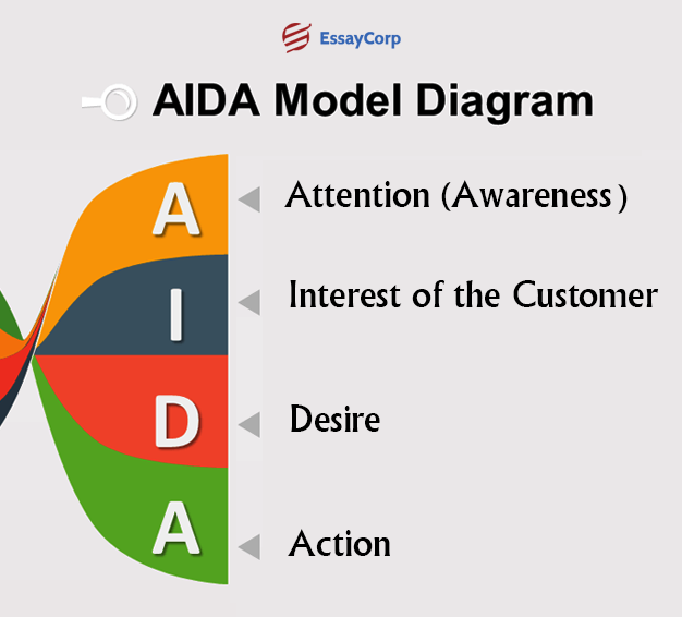 A.I.D.A. Model Stages- By EssayCorp