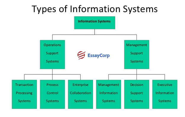 Management Information System Types- By EssayCorp