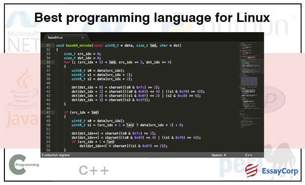 Best Programming Language
