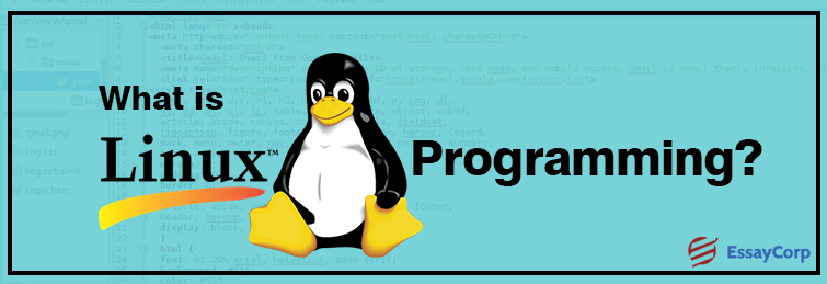 Windows to Linux: A Beginners Startup Guide - www