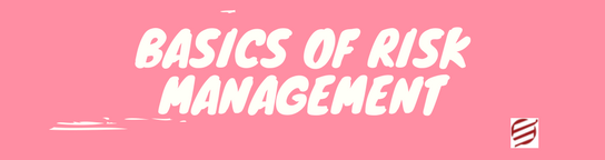 Basics of Risk Management