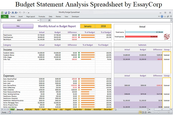Budget management analysis essays