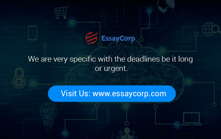 EssayCorp Services