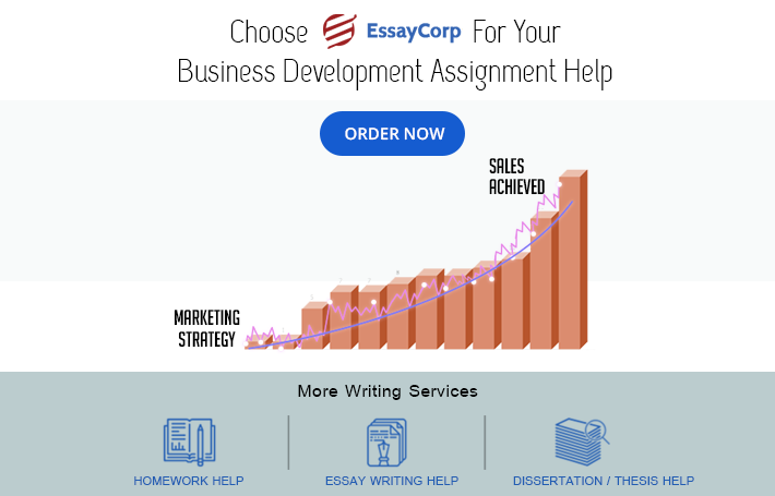 Business Development Assignment Help EssayCorp