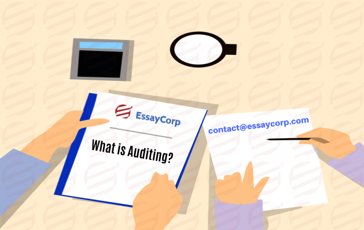 what is auditing